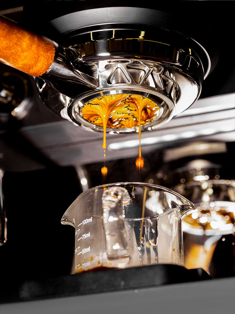 forzcon Italian coffee extraction powder bowl.